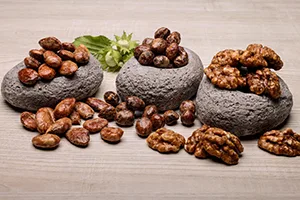 fruits-secs-grilles fruits secs grillés, spécialité du Domaine de Bequignol, artisan chocolatier Dordogne